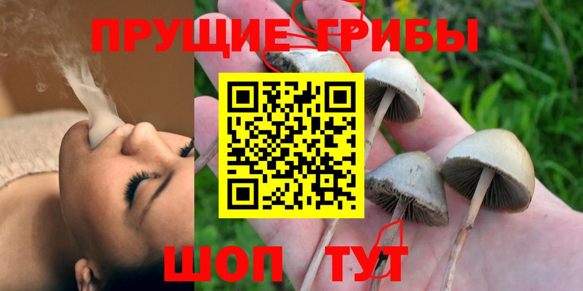 Серпухов  Галлюциногенные грибы Psilocybe  Вход с VPN 